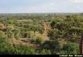 Boudry Andy - Magnifique Birmanie - 631